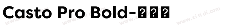 Casto Pro Bold字体转换